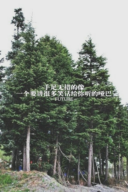 唯美图片，文字图片,情侣图片qqqqp