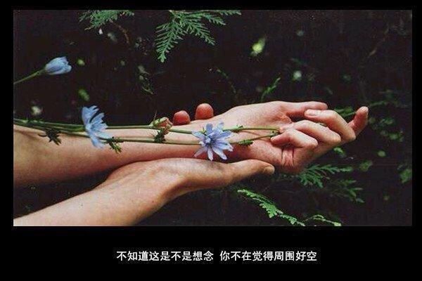 唯美图片，文字图片,情侣图片qqqqp