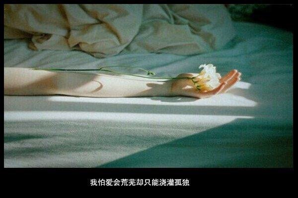 决定不闻不问，直到你肯再把我拥入怀中