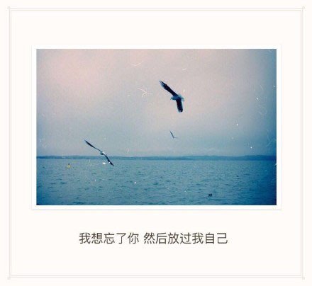 唯美图片，文字图片，动漫图片，情侣图片,qqqqp.com