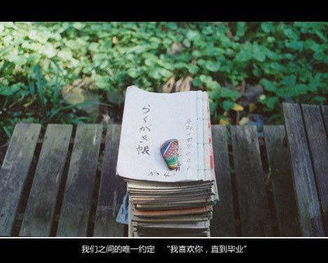 我宁愿在最美的年华，死在幸福的时光里