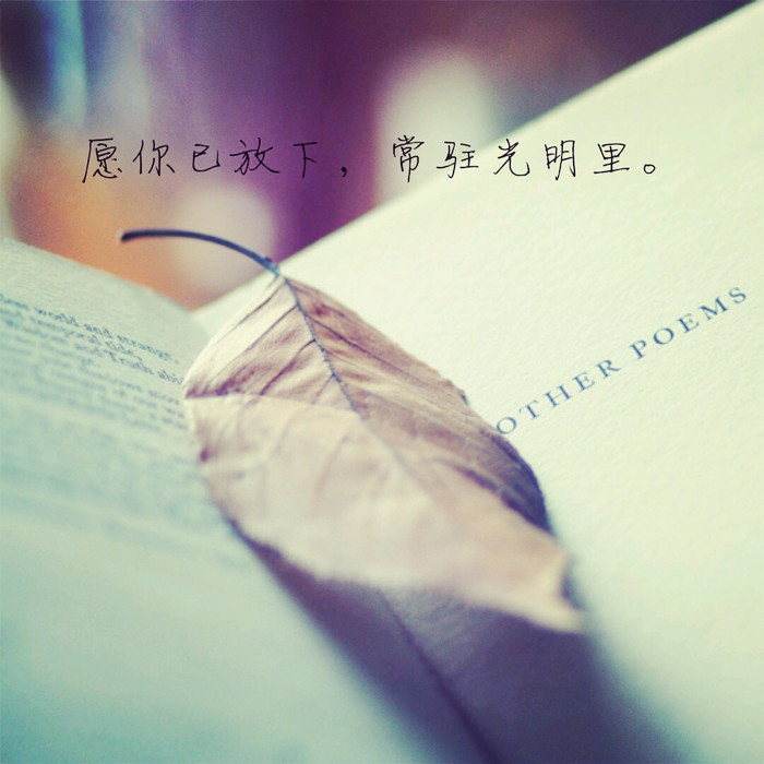 唯美图片，文字图片,情侣图片qqqqp