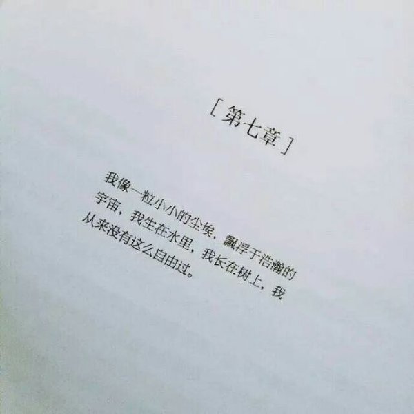 唯美图片，文字图片,情侣图片qqqqp