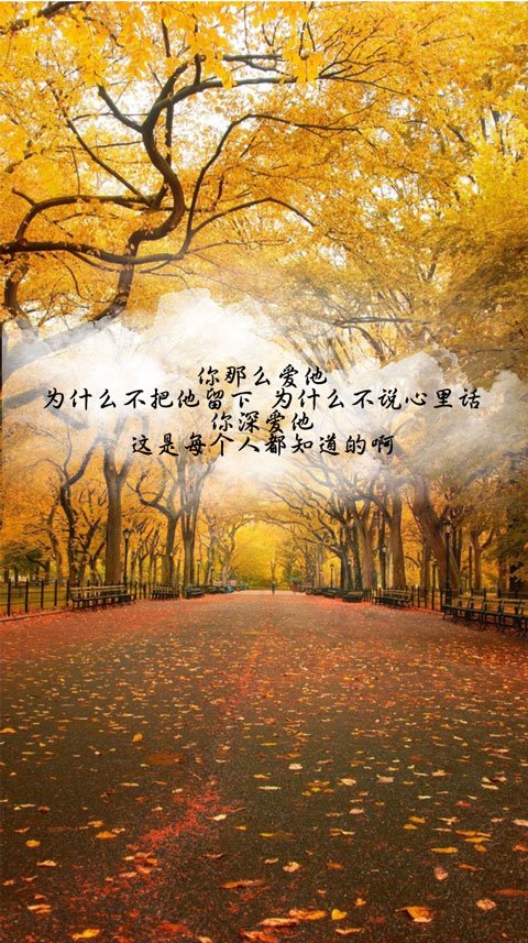 歌词里透出你的心声 有些人 我永远不必等