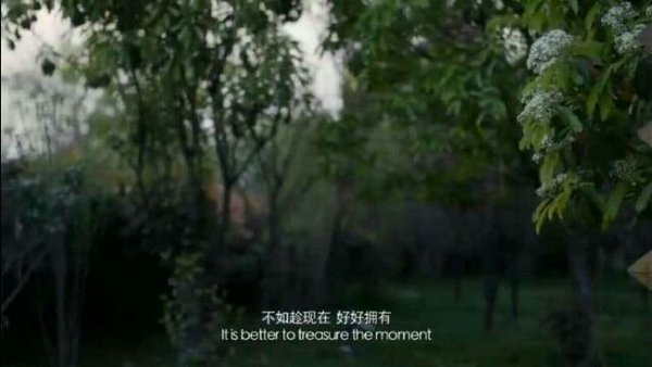 唯美图片，文字图片,情侣图片qqqqp