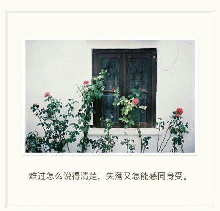 唯美图片，文字图片,情侣图片qqqqp