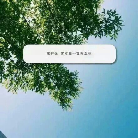 离开你，其实我一直在逞强