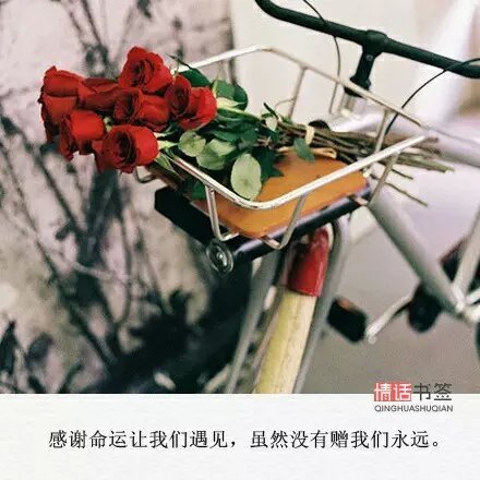 我也怕我的不主动，让你被别人暖了心