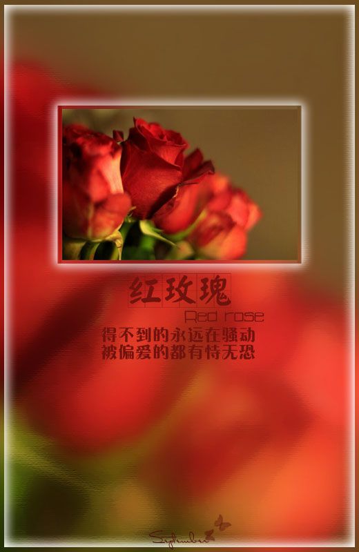 蒙上了眼睛，就可以看不见这个世界