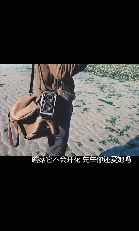 不是所有南方都叫温暖
