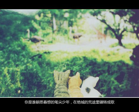 如果还能重来