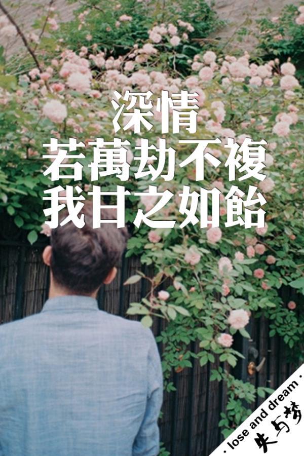 换来你虚假的情