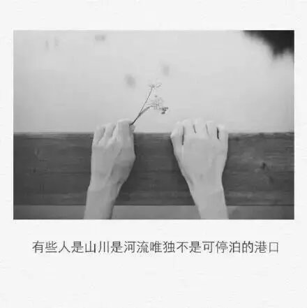 没有忘不了的旧爱，只有不合适的新欢