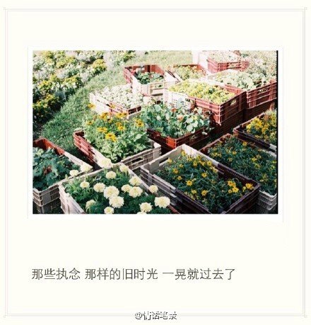 唯美图片，文字图片，动漫图片，情侣图片,qqqqp.com