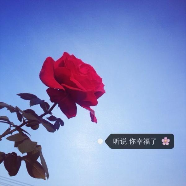 唯美图片，文字图片,情侣图片qqqqp