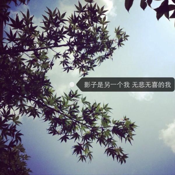我愿颠沛流离再遇见温暖的你