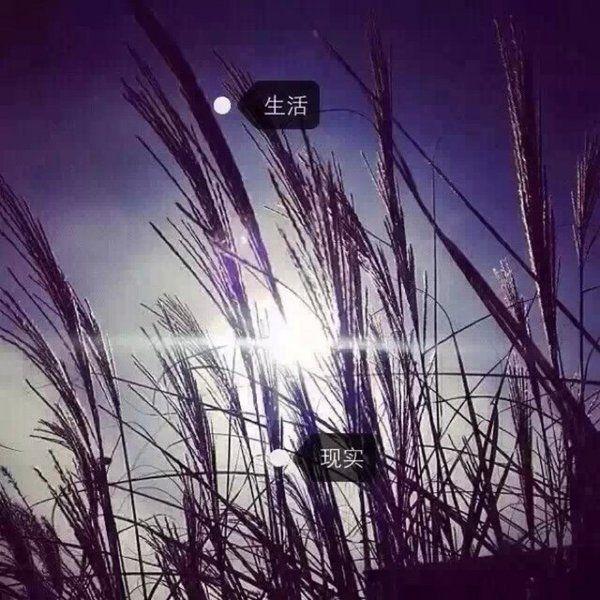 唯美图片，文字图片,情侣图片qqqqp