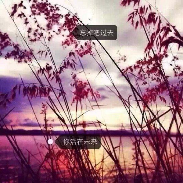 唯美图片，文字图片,情侣图片qqqqp