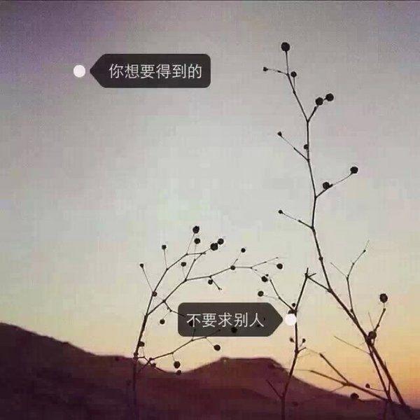 唯美图片，文字图片,情侣图片qqqqp