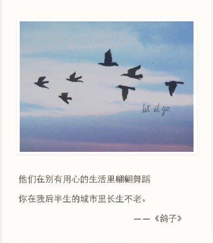 唯美图片，文字图片,情侣图片qqqqp