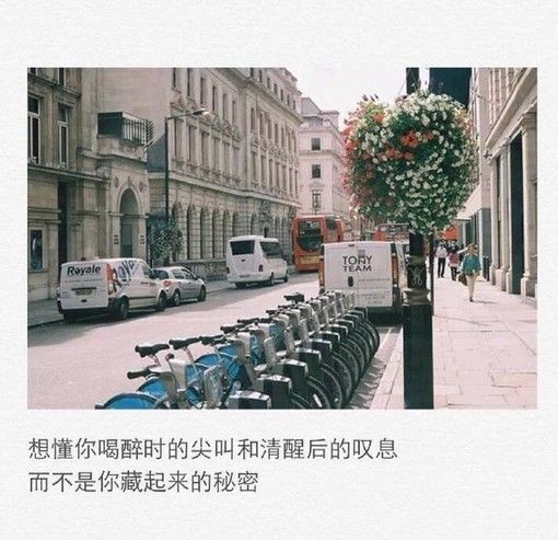 唯美图片，文字图片,情侣图片qqqqp