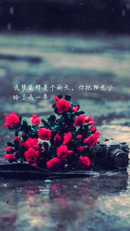 唯美图片，文字图片，动漫图片，情侣图片,qqqqp.com