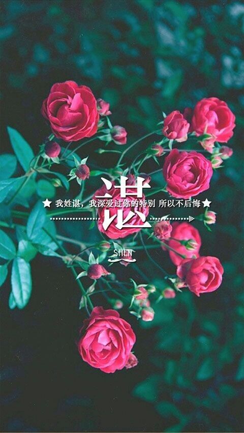 唯美图片，文字图片,情侣图片qqqqp
