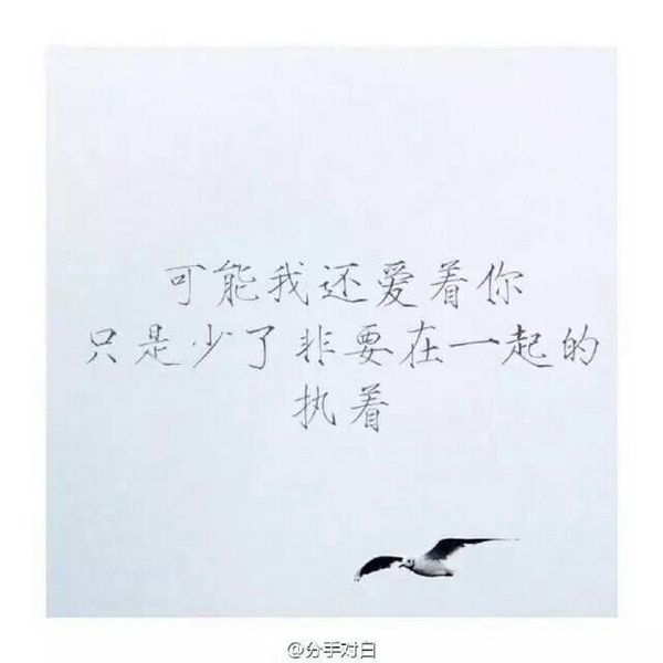 如果不是梦见你，我以为已经忘了你