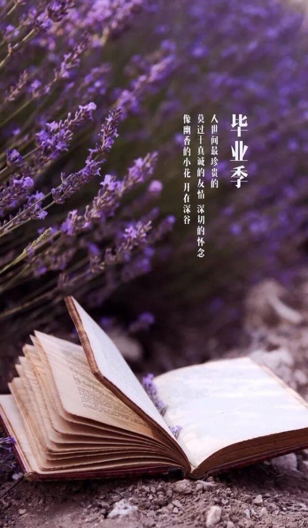 毕业季，难以割舍的青春