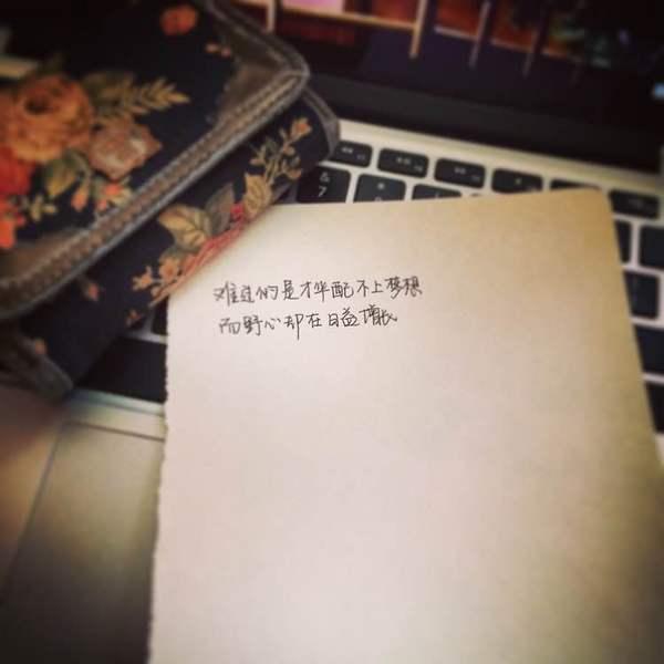 我有孤独和酒，你要不要跟我走