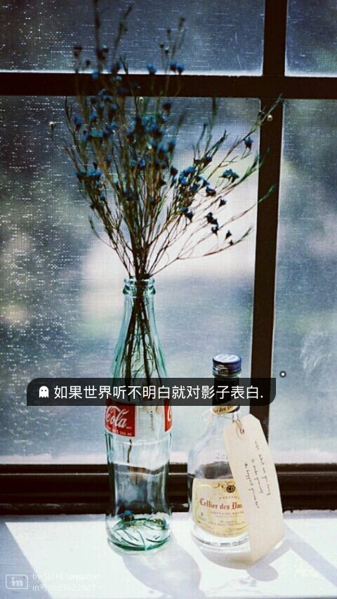 或许年轻总和遗憾绑在一起