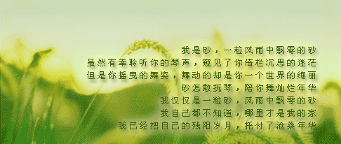 时光匆匆而逝，在记忆的天空里，沉沉往事如雾霭一般