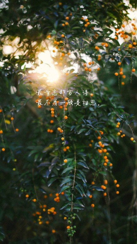 唯美图片，文字图片,情侣图片qqqqp