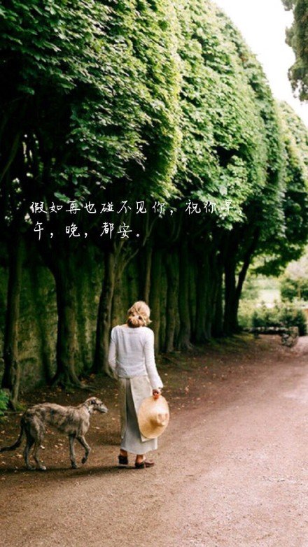 唯美图片，文字图片,情侣图片qqqqp