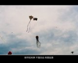 一直在等他
