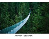 我宁愿自己从来没有得到过.