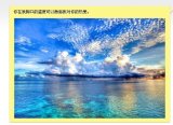 你是我心的风景