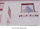 青春是一本书