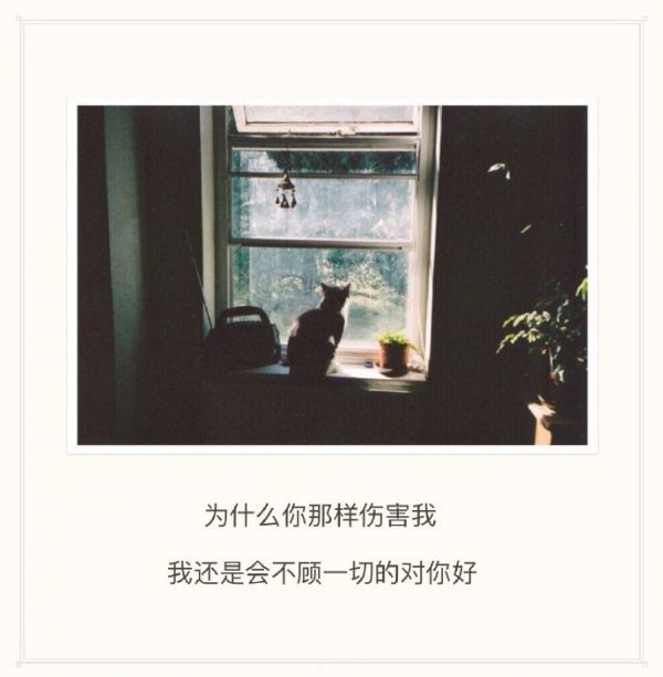 老死不相往来的陌生，算不算我给你的长久感情