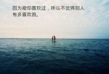 其实不是不重要，而是我从来没入过你的眼