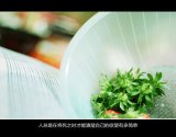迟早有一天 我们会擦肩而过