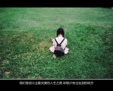 花开陌上谁人惜