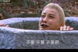 各种镜头各种萌。