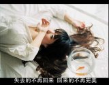 我抱着你给我的世界，却始终找不到我的归宿