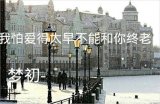 情不比终老暗香浮动恰好