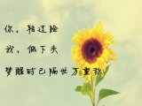 三十一封情书