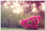 LOVE 爱