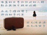 那一年，我喜欢上了你