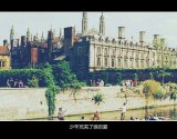 少年荒芜了谁的夏