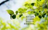 向来缘浅，奈何情深。
